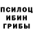 Псилоцибиновые грибы MAGIC MUSHROOMS Freerocket