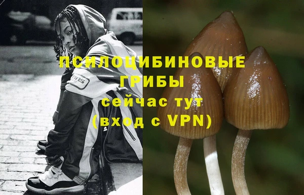 эйфоретик Лагань