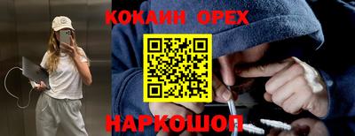 jwh Нальчик