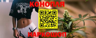 jwh Нальчик